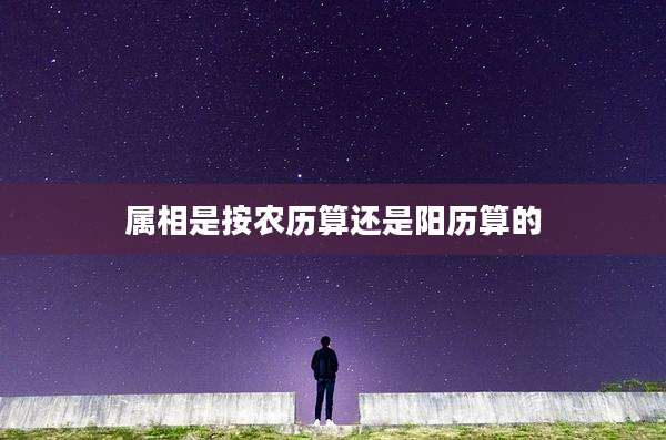 属相是按农历算还是阳历算的
