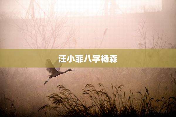 汪小菲八字杨森