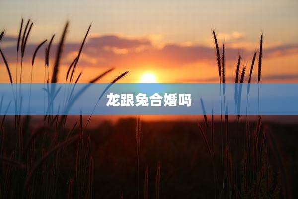 龙跟兔合婚吗