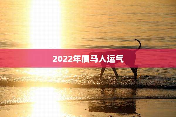 2022年属马人运气