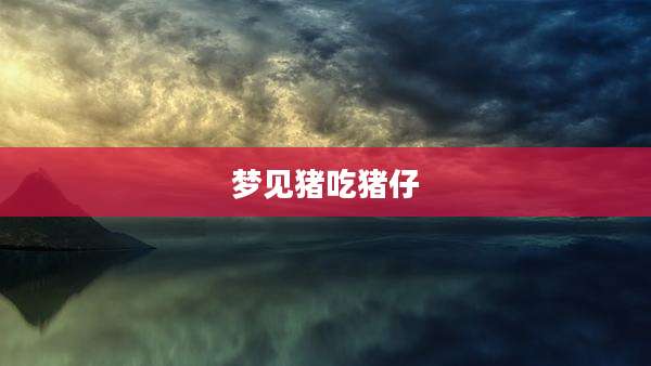梦见猪吃猪仔