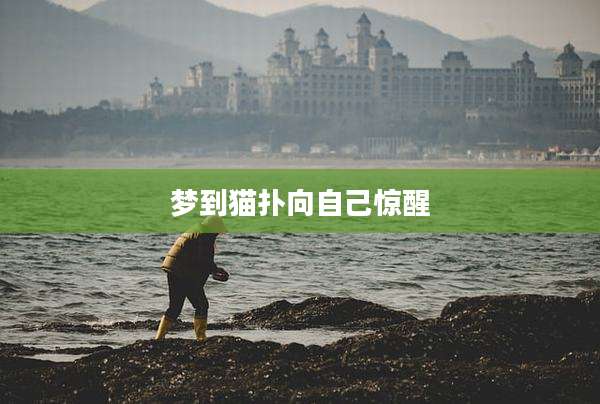 梦到猫扑向自己惊醒