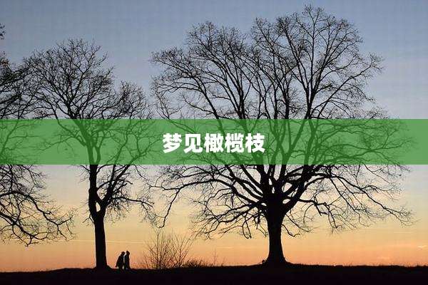 梦见橄榄枝