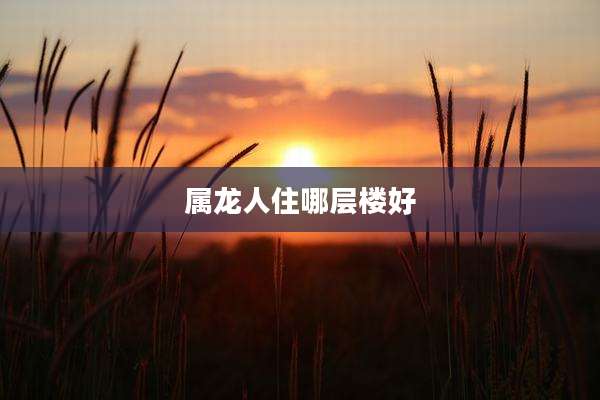 属龙人住哪层楼好