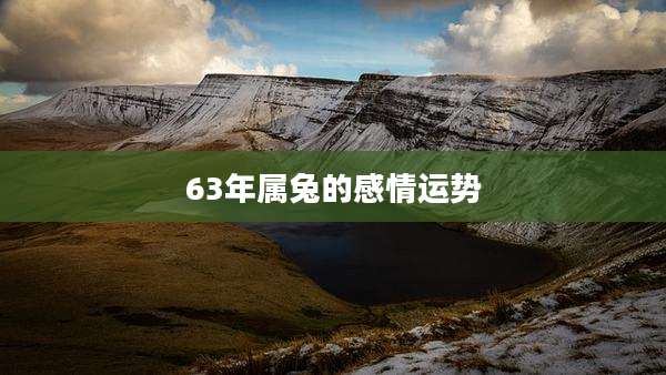 63年属兔的感情运势