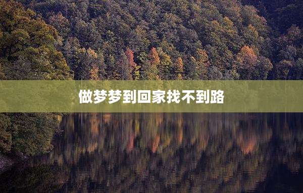做梦梦到回家找不到路