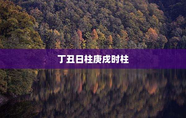 丁丑日柱庚戌时柱