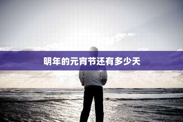 明年的元宵节还有多少天