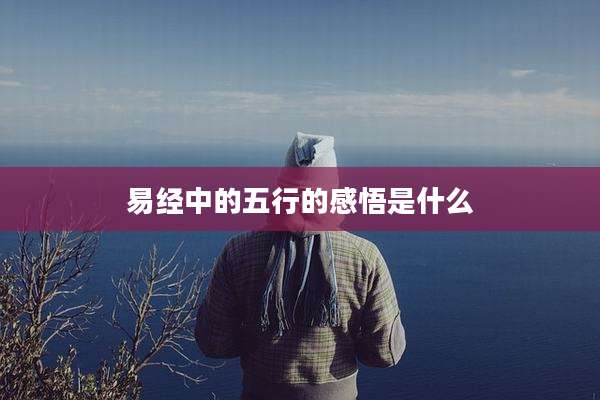 易经中的五行的感悟是什么