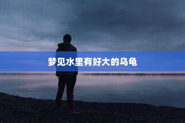 梦见水里有好大的乌龟