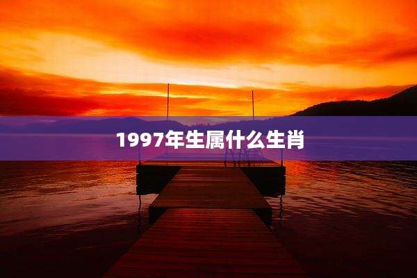 1997年生属什么生肖