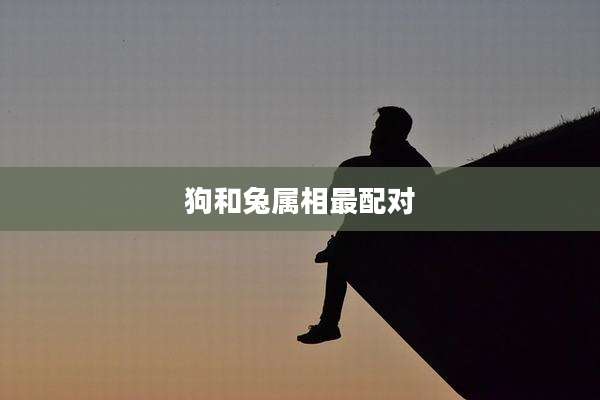 狗和兔属相最配对