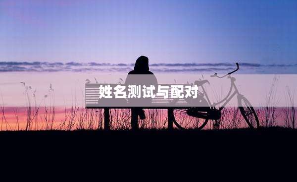 姓名测试与配对