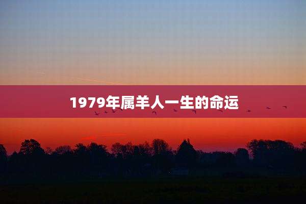 1979年属羊人一生的命运
