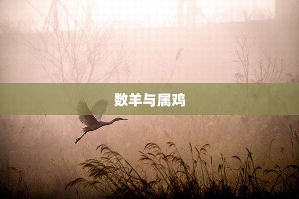 数羊与属鸡