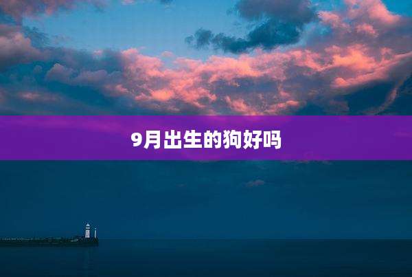 9月出生的狗好吗