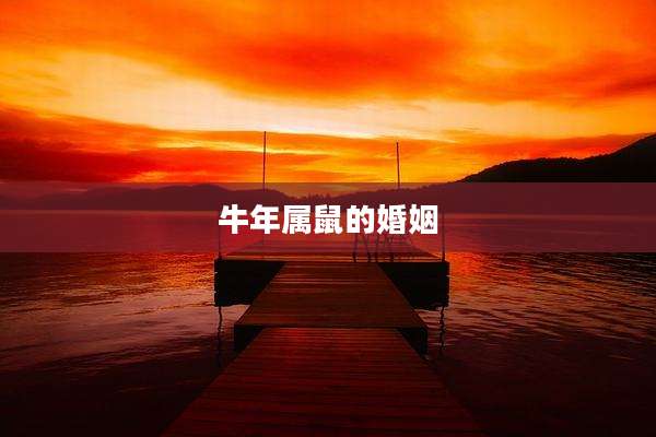 牛年属鼠的婚姻