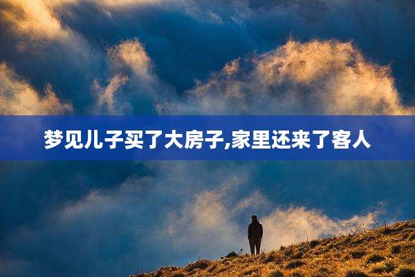 梦见儿子买了大房子,家里还来了客人