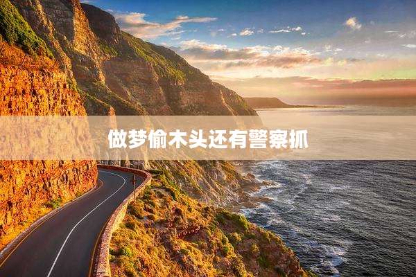 做梦偷木头还有警察抓