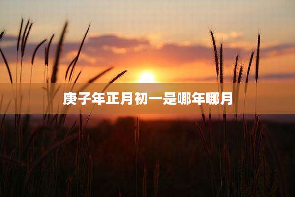 庚子年正月初一是哪年哪月