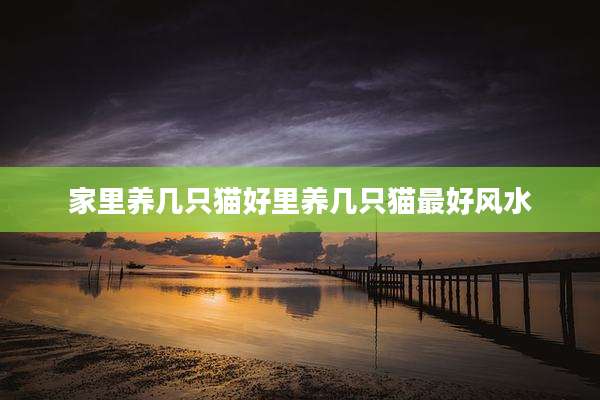家里养几只猫好里养几只猫最好风水
