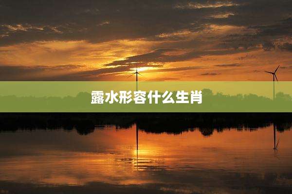 露水形容什么生肖