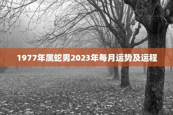 1977年属蛇男2023年每月运势及运程