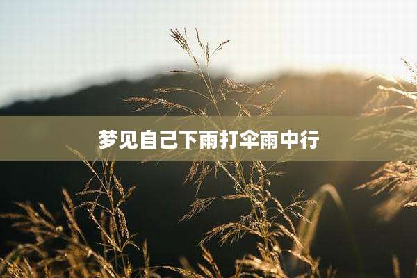 梦见自己下雨打伞雨中行