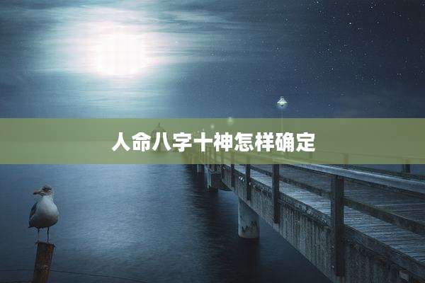 人命八字十神怎样确定