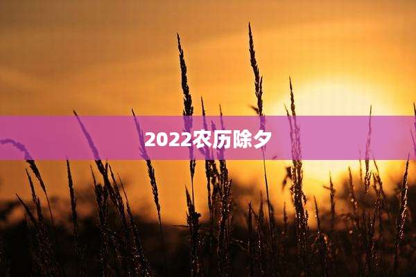 2022农历除夕