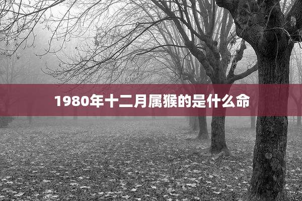 1980年十二月属猴的是什么命
