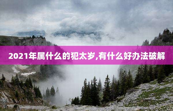 2021年属什么的犯太岁,有什么好办法破解