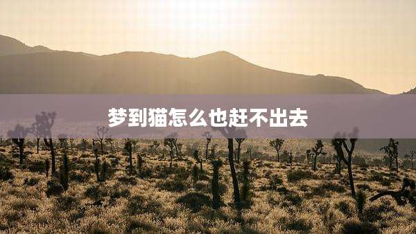梦到猫怎么也赶不出去