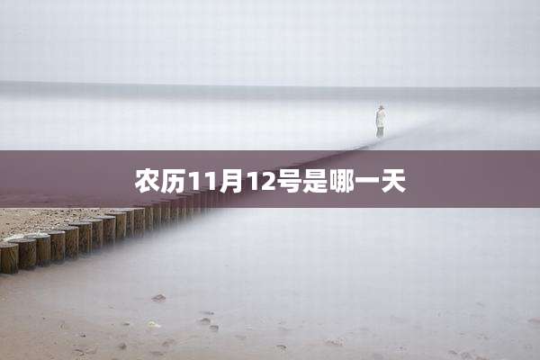农历11月12号是哪一天