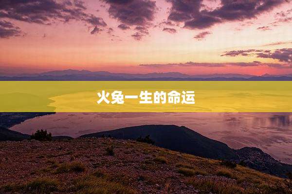 火兔一生的命运