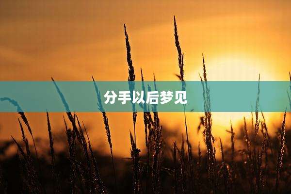 分手以后梦见