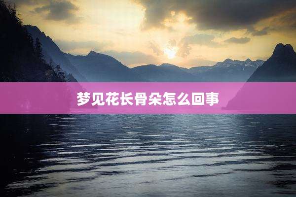 梦见花长骨朵怎么回事