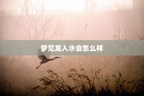 梦见龙入水会怎么样