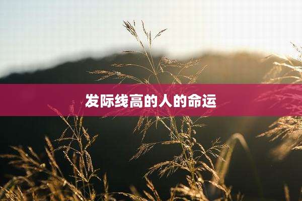 发际线高的人的命运