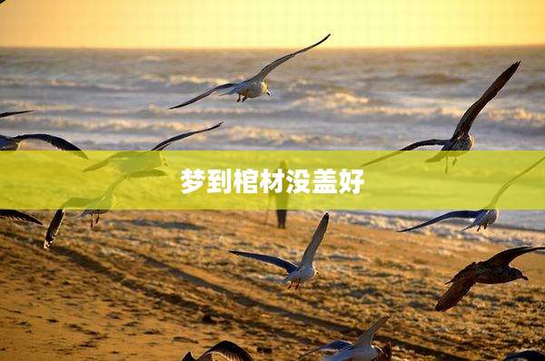 梦到棺材没盖好