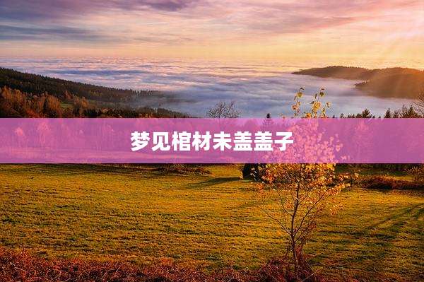 梦见棺材未盖盖子