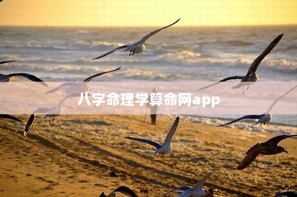 八字命理学算命网app