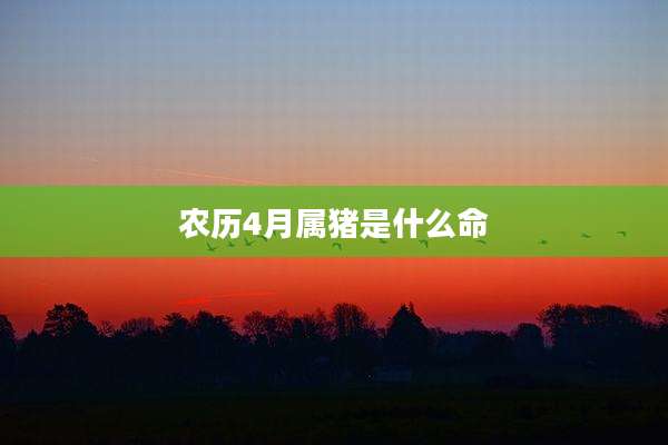 农历4月属猪是什么命