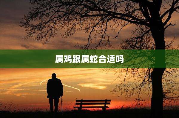 属鸡跟属蛇合适吗