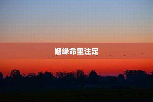 姻缘命里注定