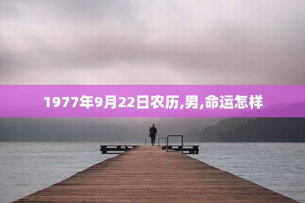 1977年9月22日农历,男,命运怎样