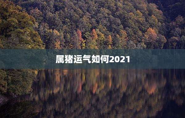 属猪运气如何2021