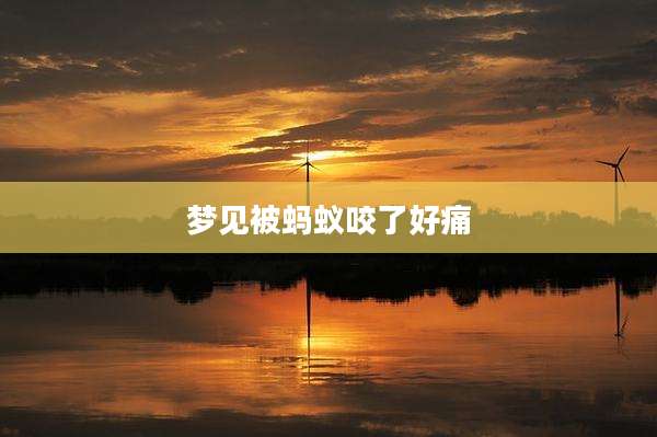 梦见被蚂蚁咬了好痛