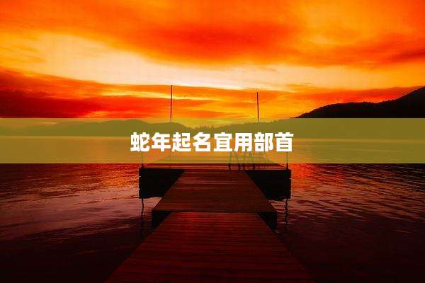 蛇年起名宜用部首