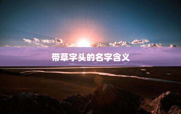 带草字头的名字含义